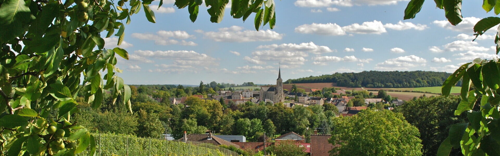 Mairie Commune Municipal Veaugues Cher (18)